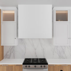 Alpine Range Hood