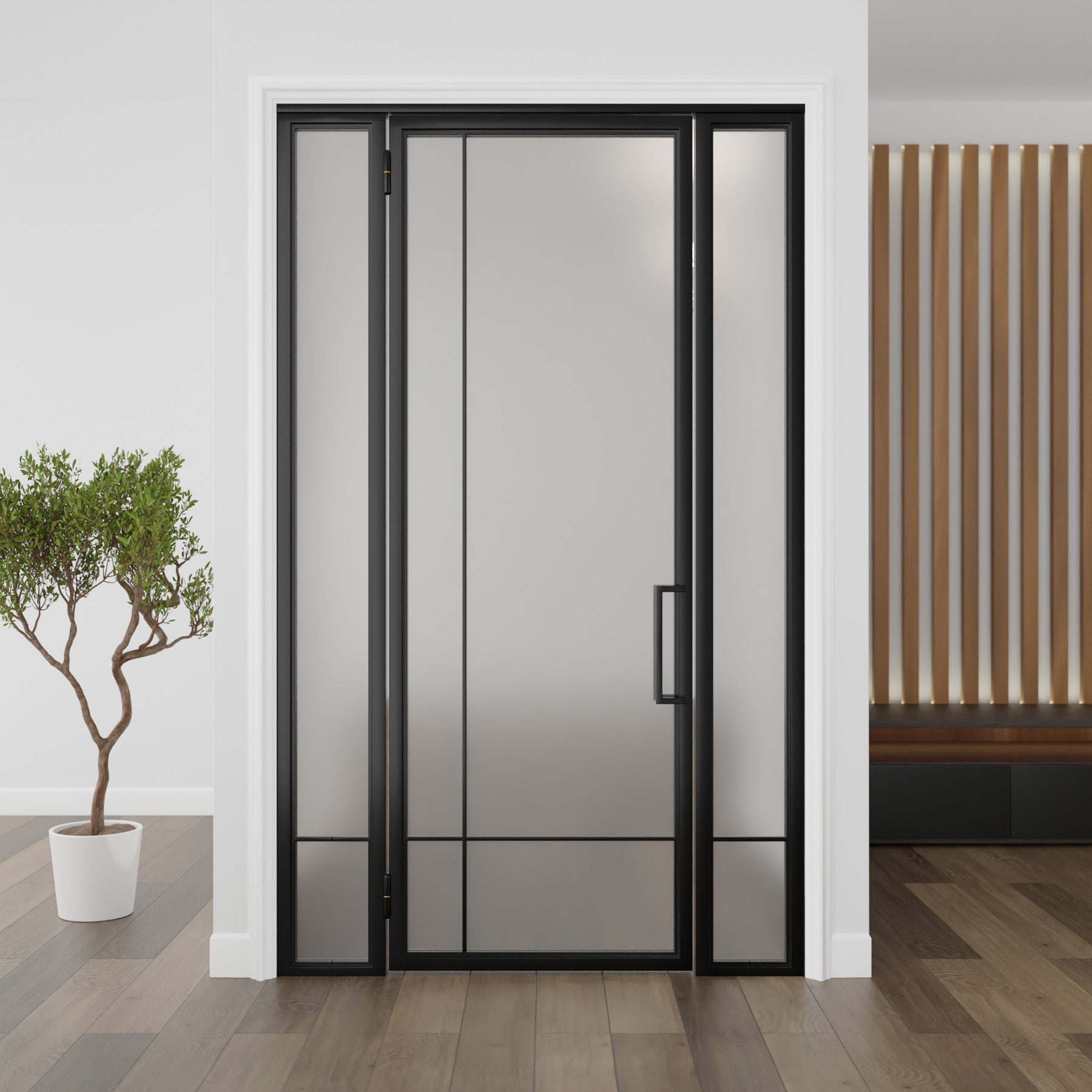 Modern Single Door with Sidelights