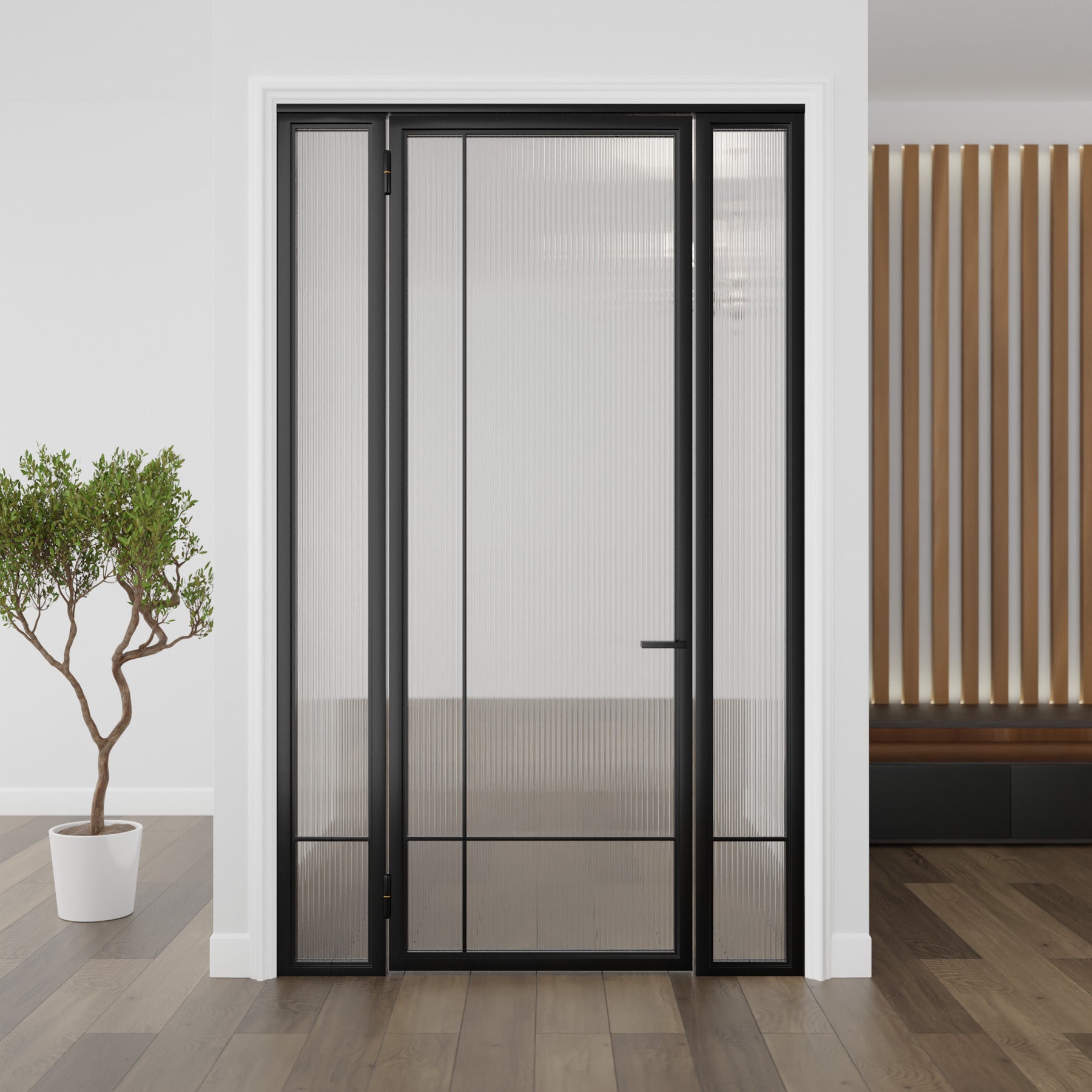Modern Single Door with Sidelights